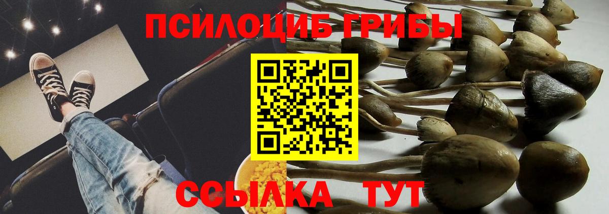 Галлюциногенные грибы Cubensis  Галлюциногенные грибы MAGIC MUSHROOMS  Вход с VPN  Шахты 
